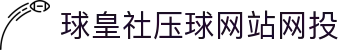 球皇实时比分站-足球实时比分、今日赛果与赛程直播查询